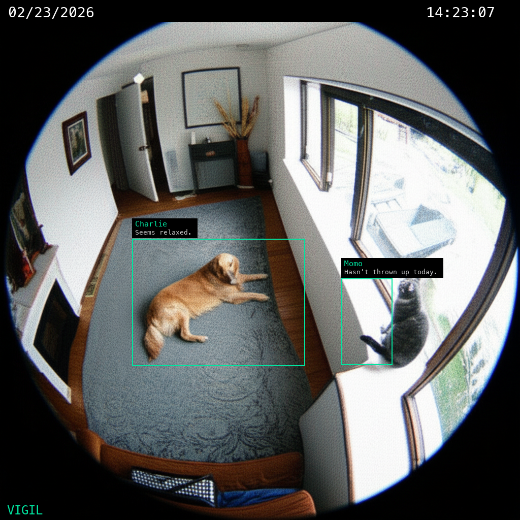 Pet monitoring with AI — Vigil tracks your dog and cat